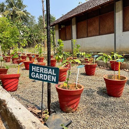 Ayuryogashram Heritage Thrissur 외부 사진