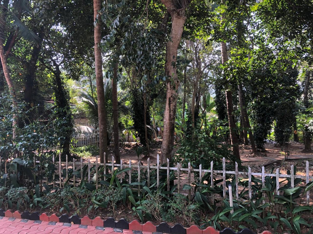 Ayuryogashram Heritage Thrissur 외부 사진